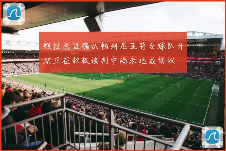 维拉总监确认帕利尼亚符合球队计划正在积极谈判中尚未达成协议